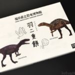 福井県立恐竜博物館のお土産『羽二重餅』が美味しくてインパクトあり！