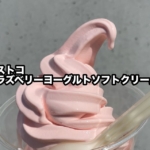 コストコの『ラズベリーヨーグルトソフトクリーム』が爽やかな甘さで美味しい！