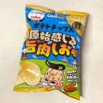 プラントの『ポテトチップス 原始感じる旨肉しお味』がカルビーとのコラボのポテチで美味しい